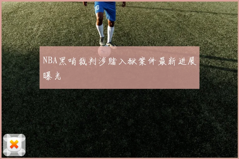 NBA黑哨裁判涉赌入狱案件最新进展曝光