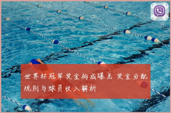 世界杯冠军奖金构成曝光 奖金分配规则与球员收入解析