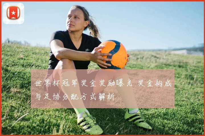世界杯冠军奖金奖励曝光 奖金构成与足协分配方式解析