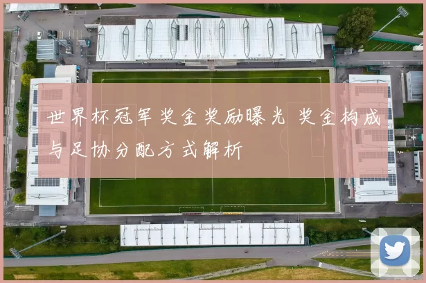 世界杯冠军奖金奖励曝光 奖金构成与足协分配方式解析