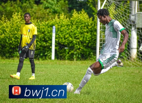 九游会·(j9)官方网站服务体系